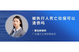 湖北为什么选择专业追讨公司来处理您的债务纠纷？